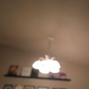 Meet your Posher, Lola